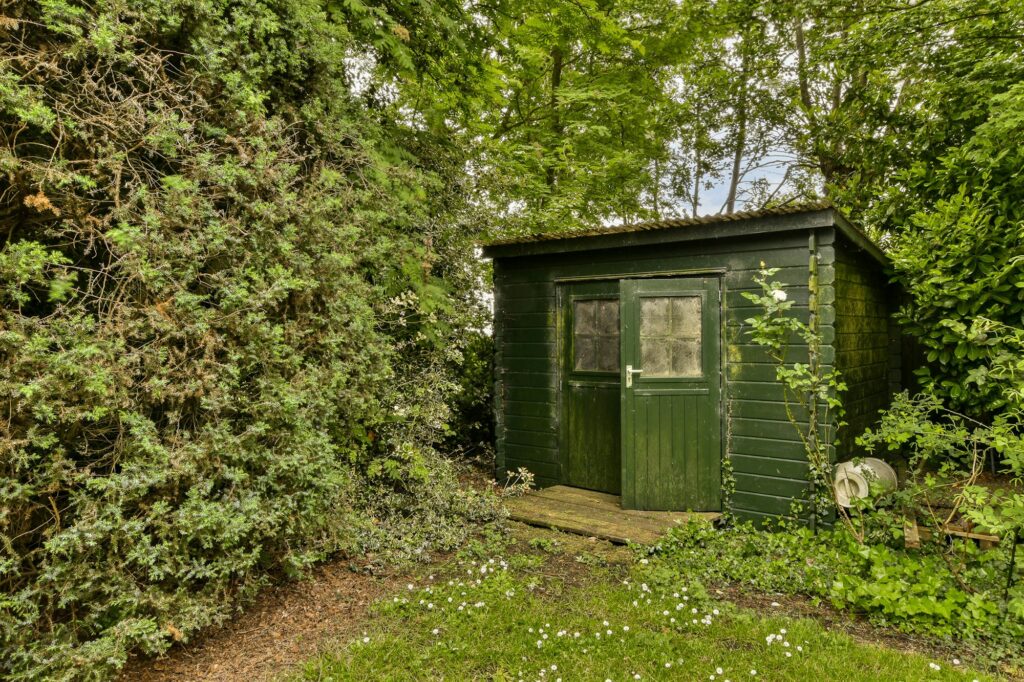 a small green shed in the middle of the woods